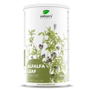 Alfalfa listi v prahu