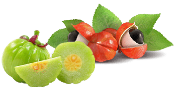 Guarana in Garcinia Cambogia