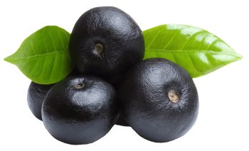 Acai jagode