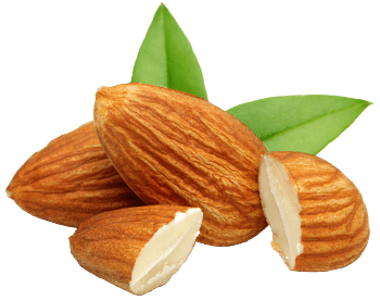 Mandlji