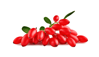 Rebersa ® (izvleček berberina)