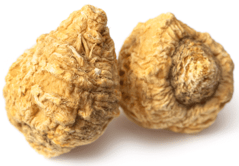 Maca v prahu