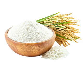Riževa moka (Oryza sativa)